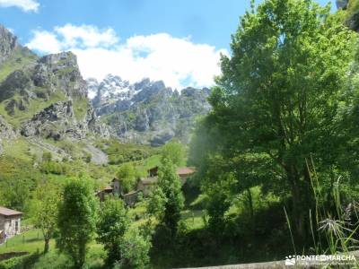 Ruta Cares-Picos de Europa; sajambre valle de belagua garganta de las nogaledas nacimiento del pisue